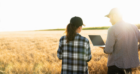Couple of farmers examines the field of cereals and sends data to the cloud from laptop. Smart farming and digital agriculture.