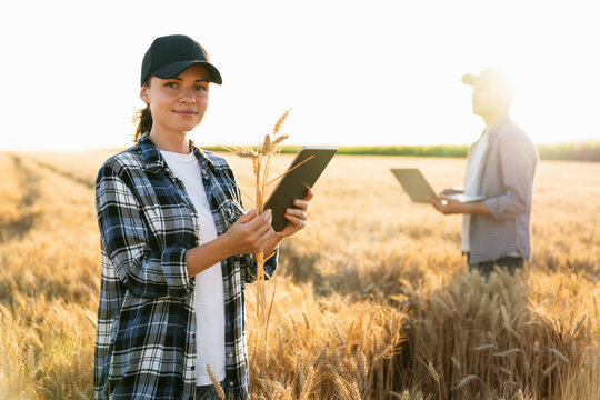 Couple of farmers examines the field of cereals and sends data to the cloud from the digital tablet and laptop. Smart farming and digital agriculture.