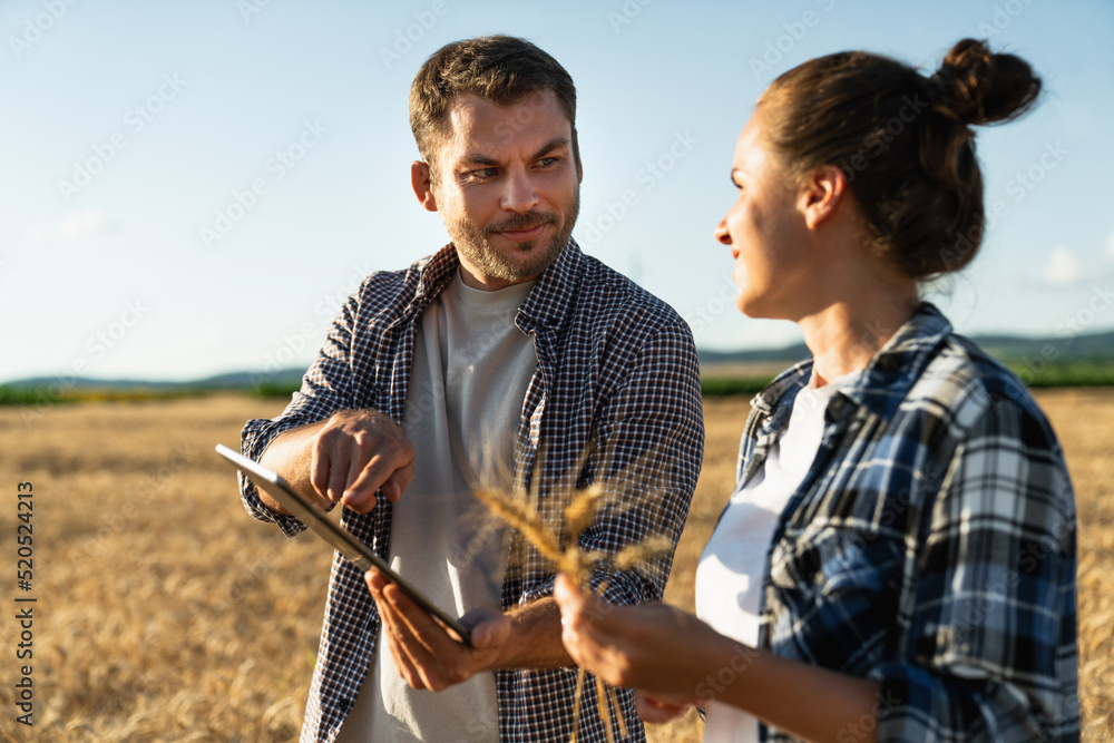 Poster couple of farmers examines the field of cereals and sends data to the cloud from the tablet. smart f