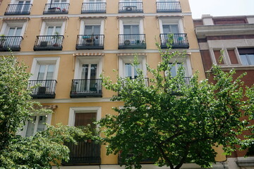 Fototapeta na wymiar The facade of typical Spanish old house with beautiful balcony with various green plants in summer. Balcony with metal railings.