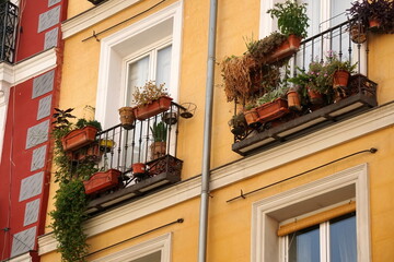 The facade of typical Spanish old house with beautiful balcony with various green plants in summer....