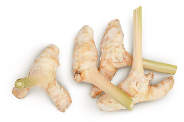 Fresh galangal root isolated on white background with full depth of field. Top view. Flat lay