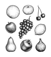 Fruits ink sketches.