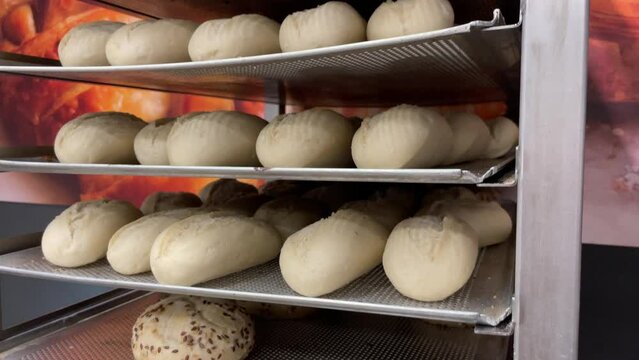 Uncooked raw breadsticks and buns sitting on bakery shelf rack to be put in oven