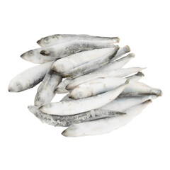 Frozen herring on a white background, sea raw fish.