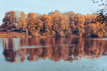 Obraz premium Beautiful landscape, trees with yellow leaves on the river bank