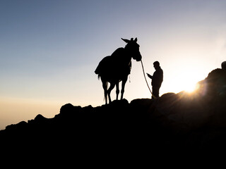 Fototapeta na wymiar the mule who carries the mountaineers' equipment to the summit and its owner