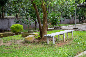 A seat under a tree in the garden