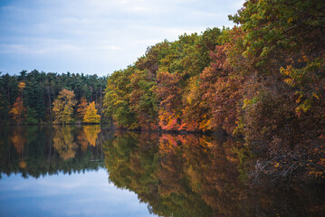 Lake in Autumn with Fall leaves