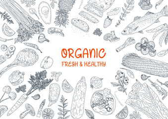 Healthy eating. Organic food illustration. Healthy food frame vector illustration. Vegetables, fruits and meat. Hand drawn sketch.