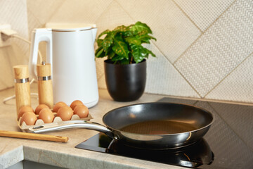 Modern kitchen appliance, Induction stove with steel frying pan