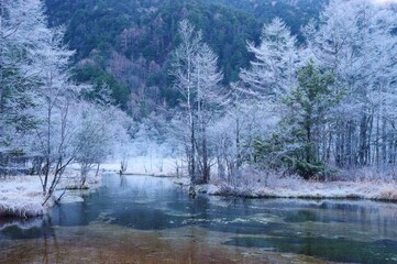 初冬の上高地　田代池