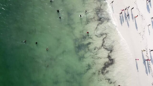 People swimming and walking on beautiful sandy beach of Watamu, Kenya. Summer sunny holiday - drone tilt up reveal coastal scenery