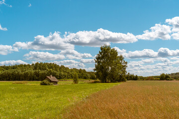 Small wooden house on farmland in forest field