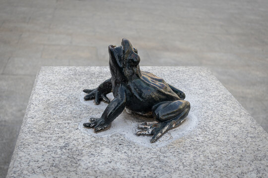 ZARAGOZA, SPAIN-MAY 15, 2021: Statue of the little frog in the center of the City