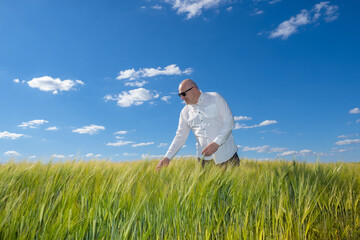 Naklejka na ściany i meble Businessman in wheat field. Man in shirt touches spikelets wheat. Agricultural business owner. Owner grain growing company. Manager agricultural company. Sky over wheat field. Agricultural industry