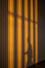 Corfu, Greece, People in-line and in shadow at the airport gate at  sunset.