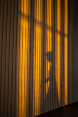 Corfu, Greece, People in-line and in shadow at the airport gate at  sunset.