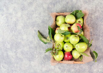 Basket with fresh ripe apples standing on a table, fruit harvest in the summer, healthy organic food
