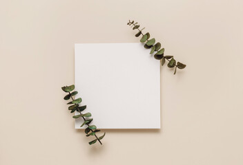 Blank paper sheet card with eucalyptus leaves, top view, flat lay. Minimal business brand template, invitation card. Neutral beige color