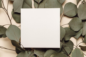 Blank paper sheet card with mockup copy space on eucalyptus leaves, flat lay, top view. Business...