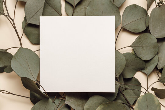 Blank paper sheet card with mockup copy space on eucalyptus leaves, flat lay, top view. Business brand, social media, blog template, minimal aesthetic background, boho style