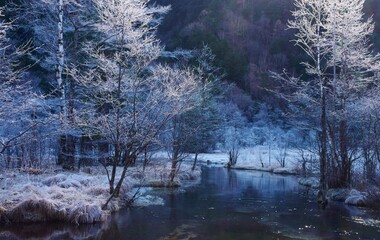 Fototapeta premium 初冬の上高地 田代池