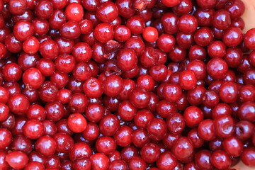 Sour cherry for jam