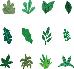 Hand Paint Watercolor Leaves Element Set  
