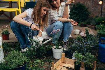 close up of mother and daughter gardening houseplant in garden. daughter helping her mother...