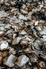 Books burned on the ground in an abandoned Soviet school in Martvili, Georgia. 