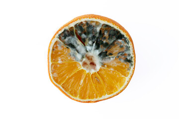 Orange rotten inside on a white background. Waiting for a long time. bad person concept: Not...