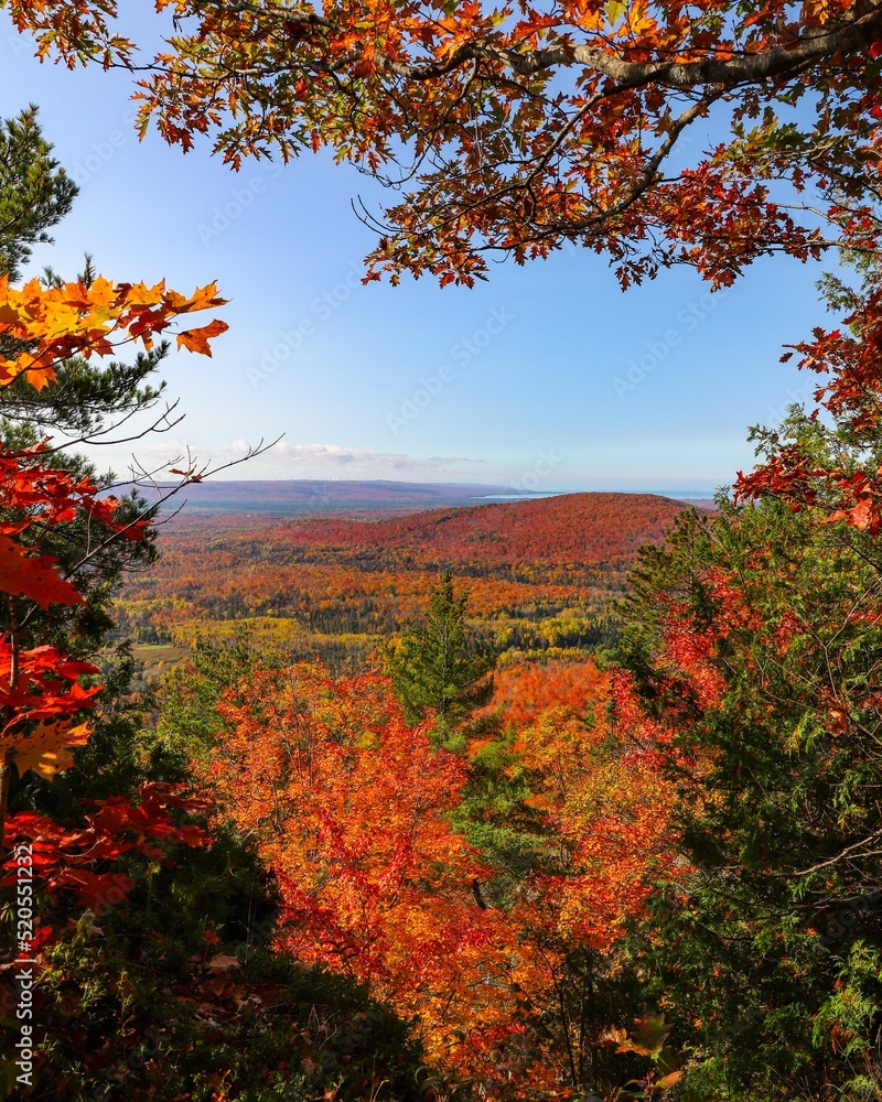 Poster mesmerizing view of forested mountains during fall in newfoundland