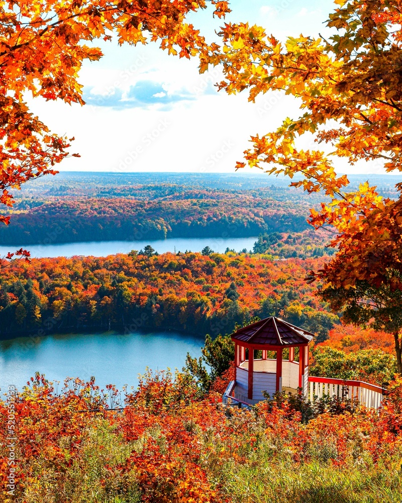 Poster mesmerizing view of the small lakes and fall trees in newfoundland