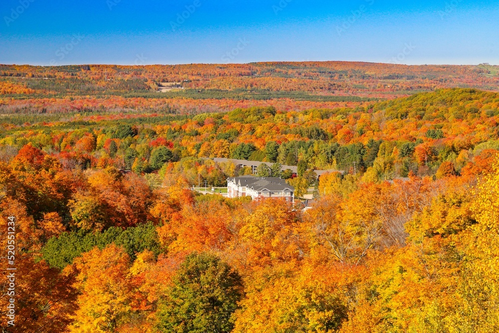 Poster mesmerizing view of forested mountains during fall in newfoundland