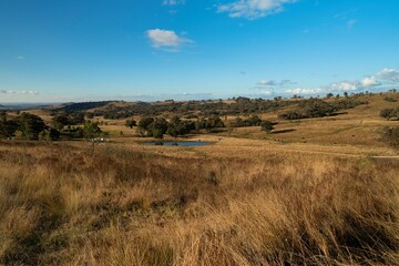 Aerial view of a landscape surrounded by growing trees under a blue sky in Mudgee, Australia