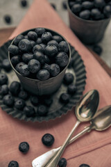 bowls full of antioxidants from blueberries with spoons and kitchen towel
