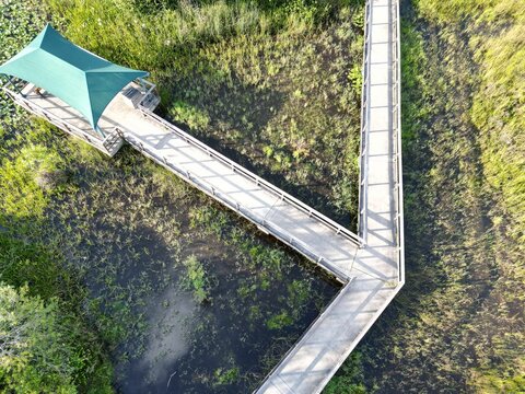 Aerial top view of a wooden trail with handrails in a green landscape on a sunny day