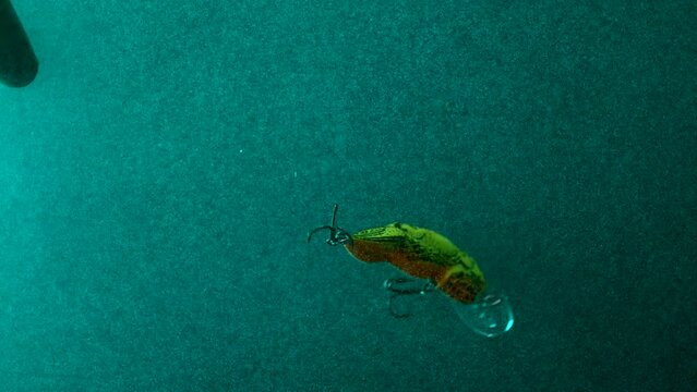 Slow motion lure in green water