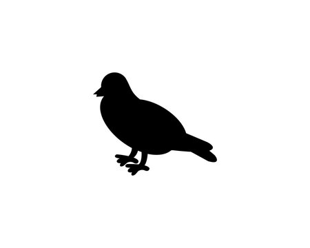 Pigeon silhouette icon illustration  template for many purpose. Isolated on white background
