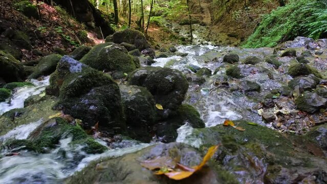 Waterfall flowing in jungle between trees and rocks with blurred autumn leaves. Relaxing and soothing waterfall video. 