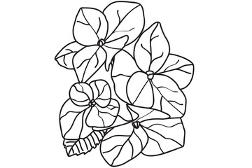 hydrangea drawn in black outline is intended for tattoo, card, print, label, logo, Valentine, March 8, coloring and you can use it in different cases
