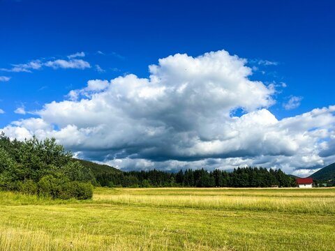 Field And Forest In Gorski Kotar Croatia