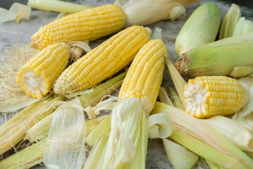 Corn, yellow corn