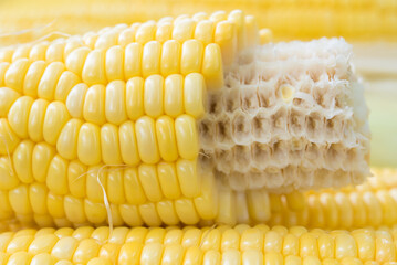 Closeup Yellow Corn, sweet corn, yellow corn background, healthy organic food, bio nutrition