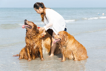 Woman plays ball with her Golden Retriever on the beach