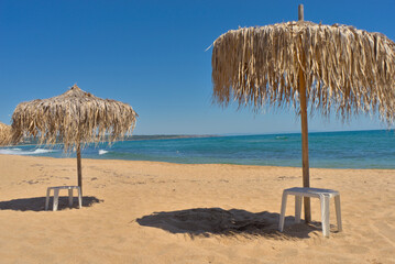 beach umbrella on the beach