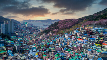 Fototapeta na wymiar Gamcheon Culture Village, Aerial view Colorfull mountain village in Busan City, Busan, South Korea.
