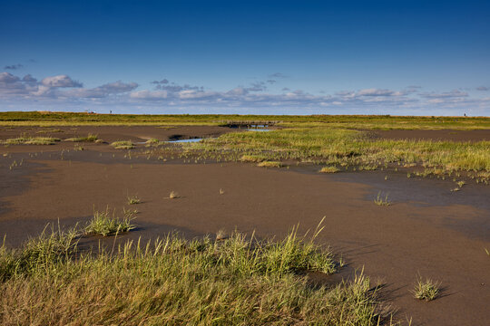 รูปภาพWattboden – เลือกดูภาพถ่ายสต็อก เวกเตอร์ และวิดีโอ247 | Adobe Stock