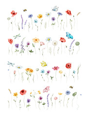 Watercolor floral illustration – Wildflowers arrangement: summer flower, blossom, poppies, chamomile, dandelions, cornflowers, lavender, violet, bluebell, clover, buttercup, butterfly.